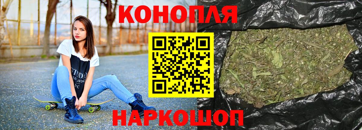 Каннабис OG Kush Александров